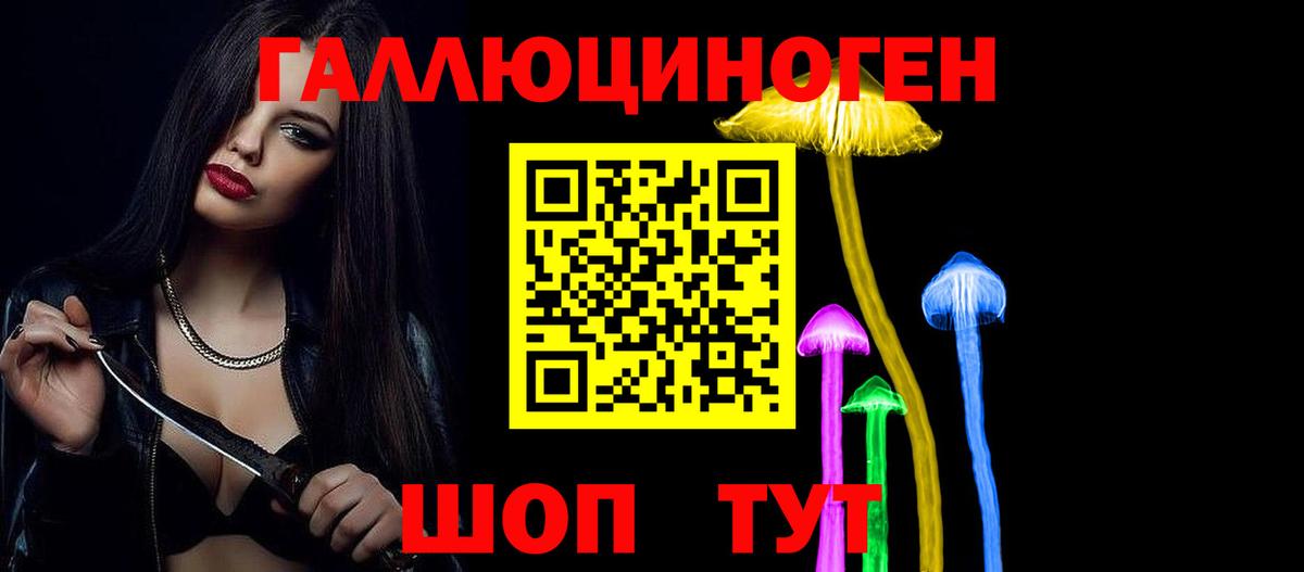 Псилоцибиновые грибы прущие грибы  Вход с VPN  Камышлов 